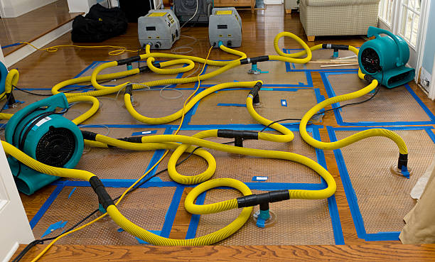 Professional Flood Damage Restoration technician working in Rehoboth, MA